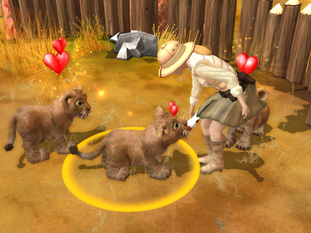 Wildlife Camp