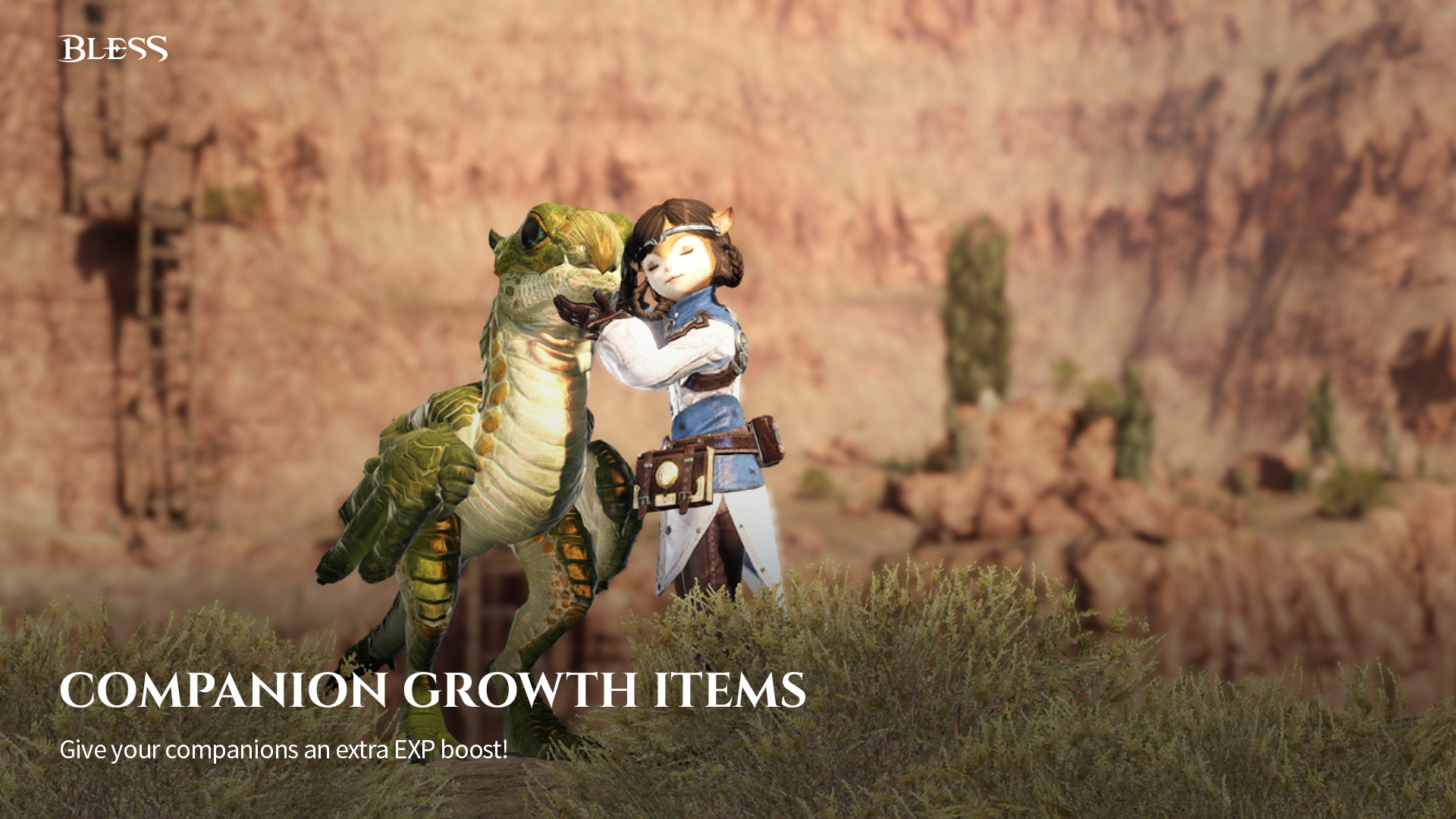 Bless Online: Dragon Knight Pack