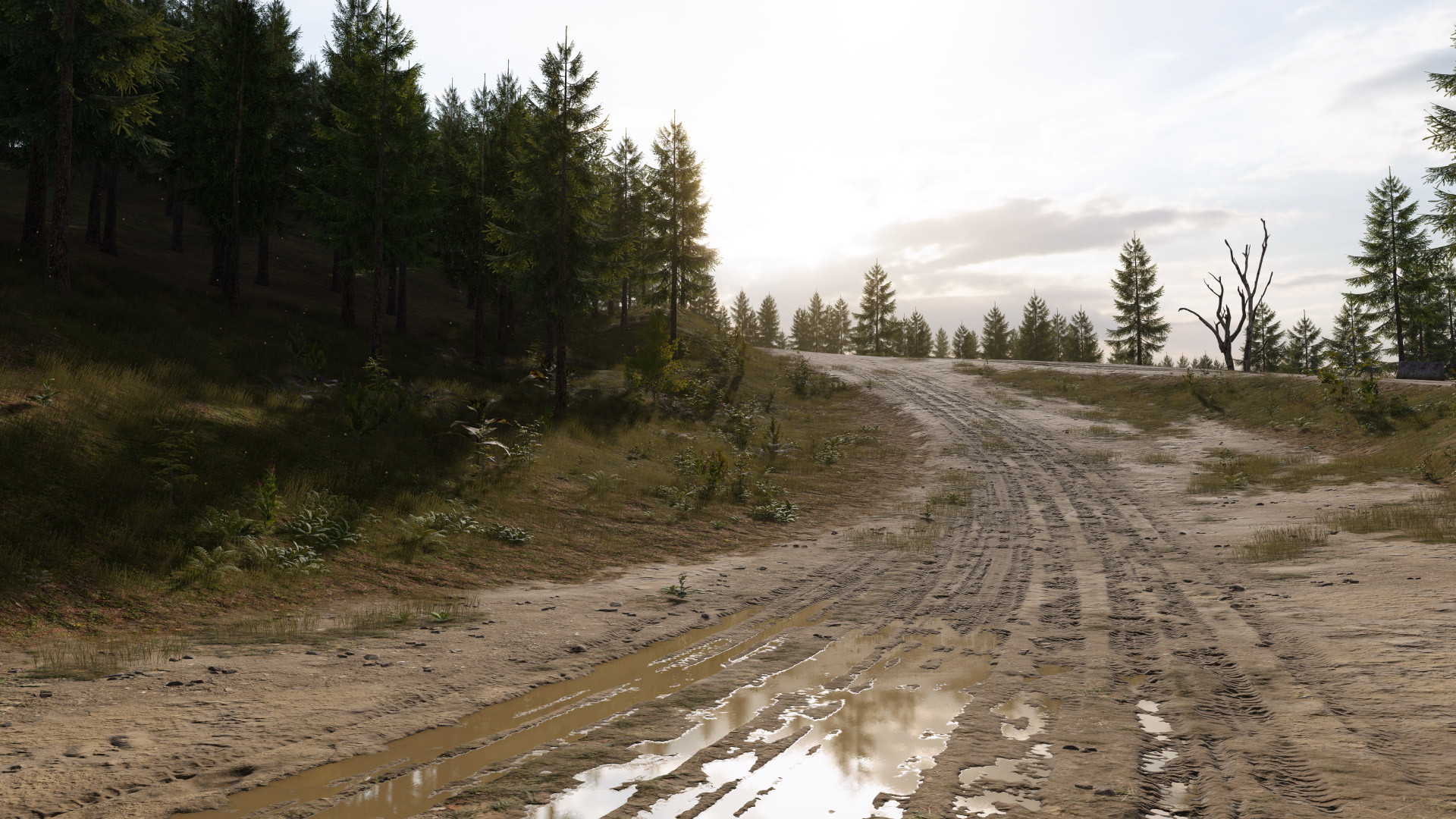 DRAG Outer Zones