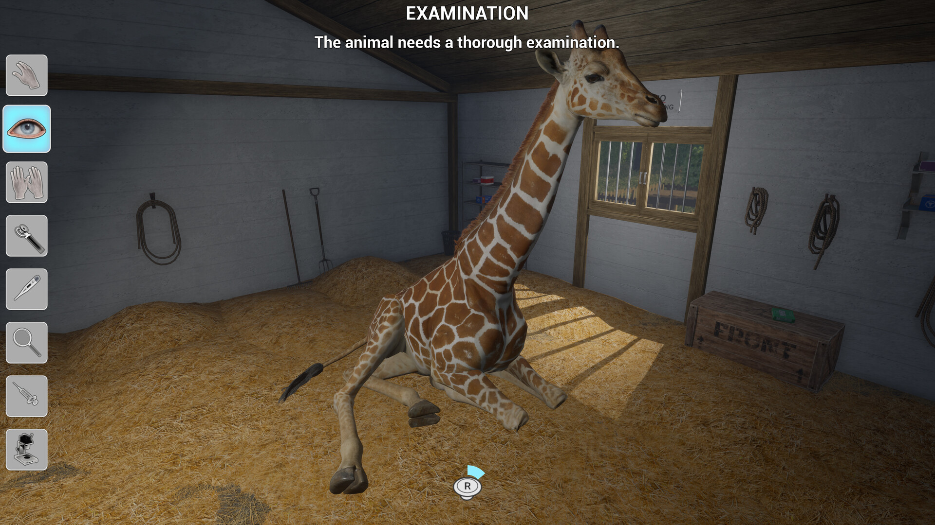 My Life: Zoo Vet
