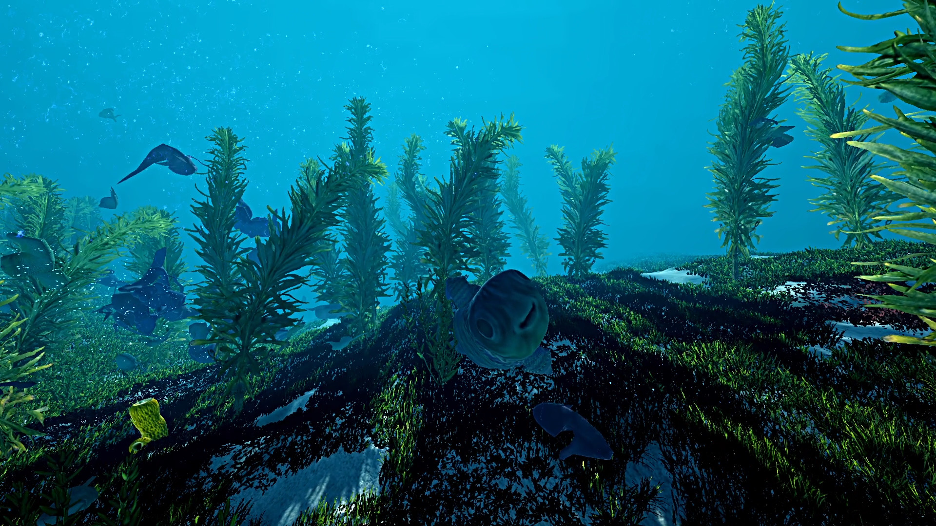Ecosystem
