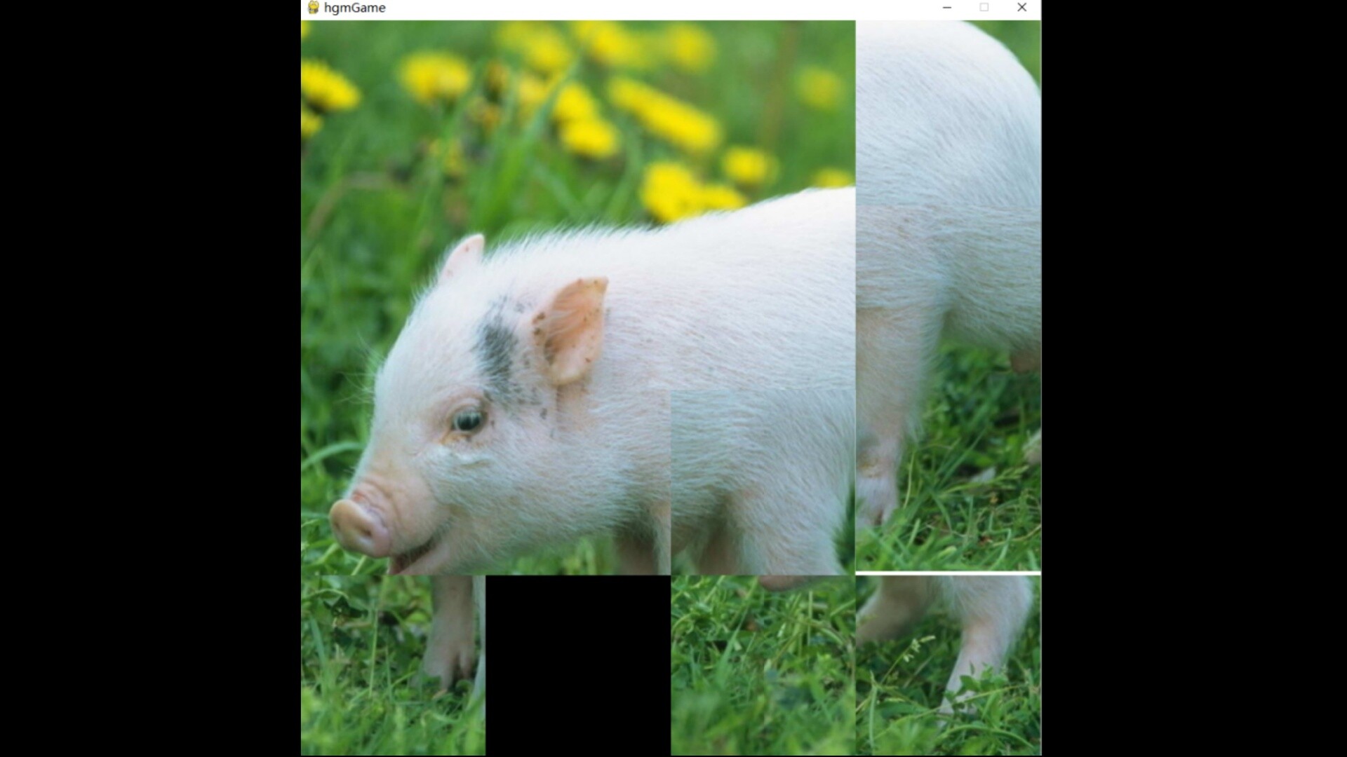 hgmGame-pig