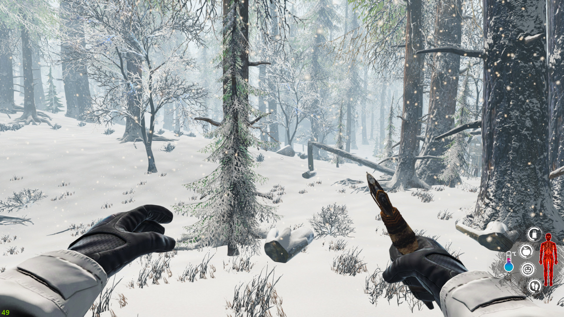 Snow Survival