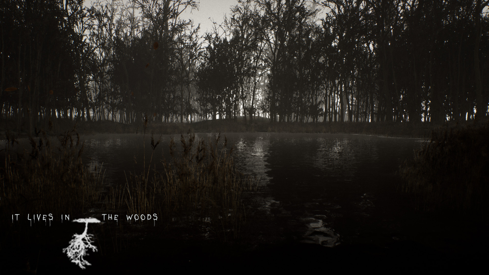 ItLivesInTheWoods