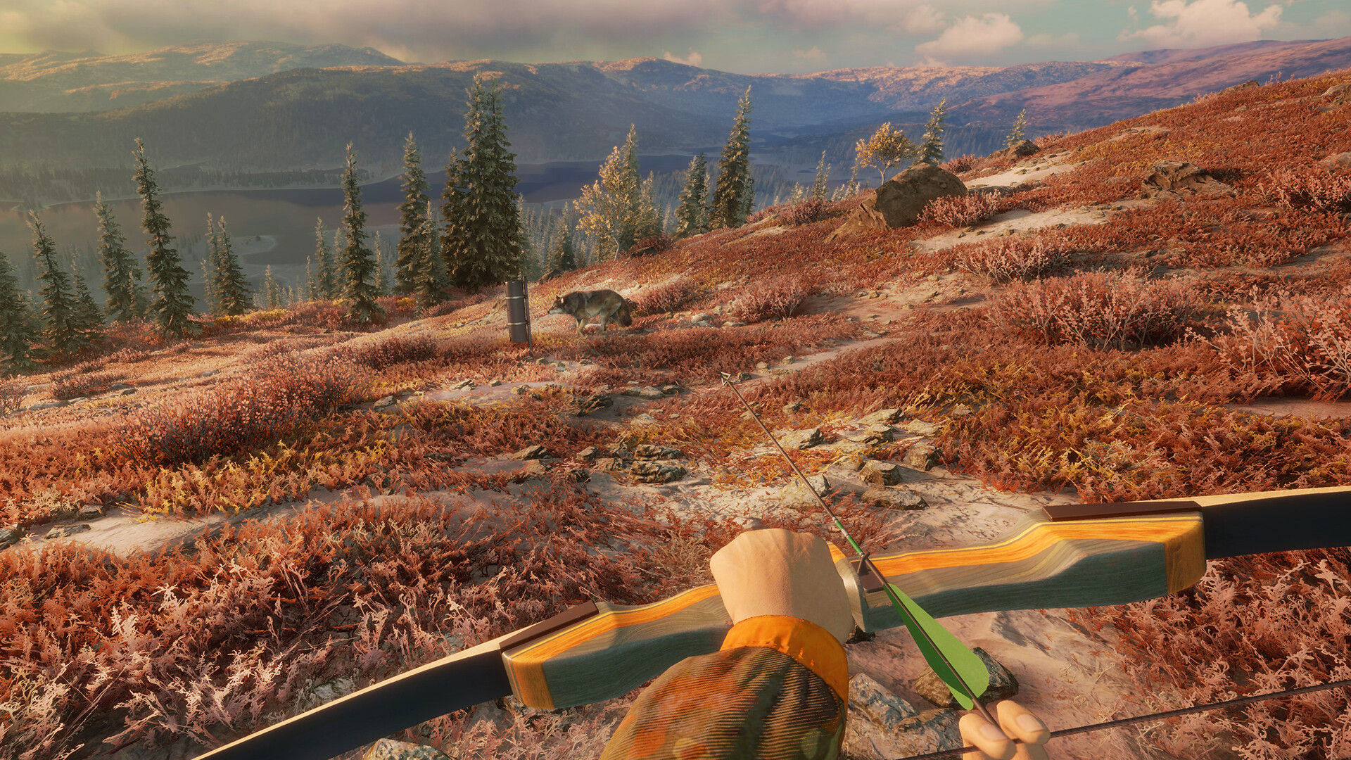 theHunter: Call of the Wild™ - Game Feeder Pack 2