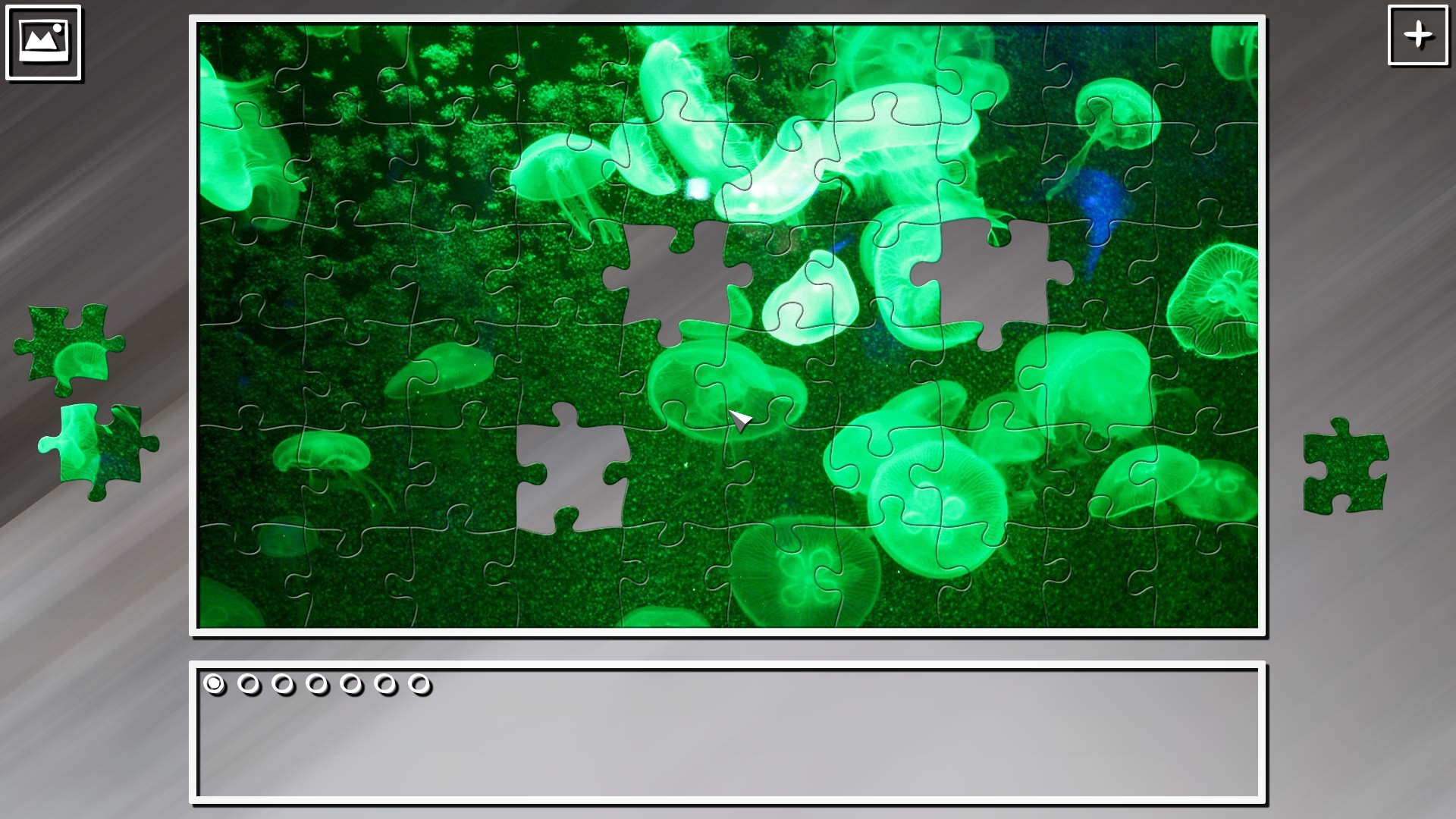 Super Jigsaw Puzzle: Generations - Jellyfishes