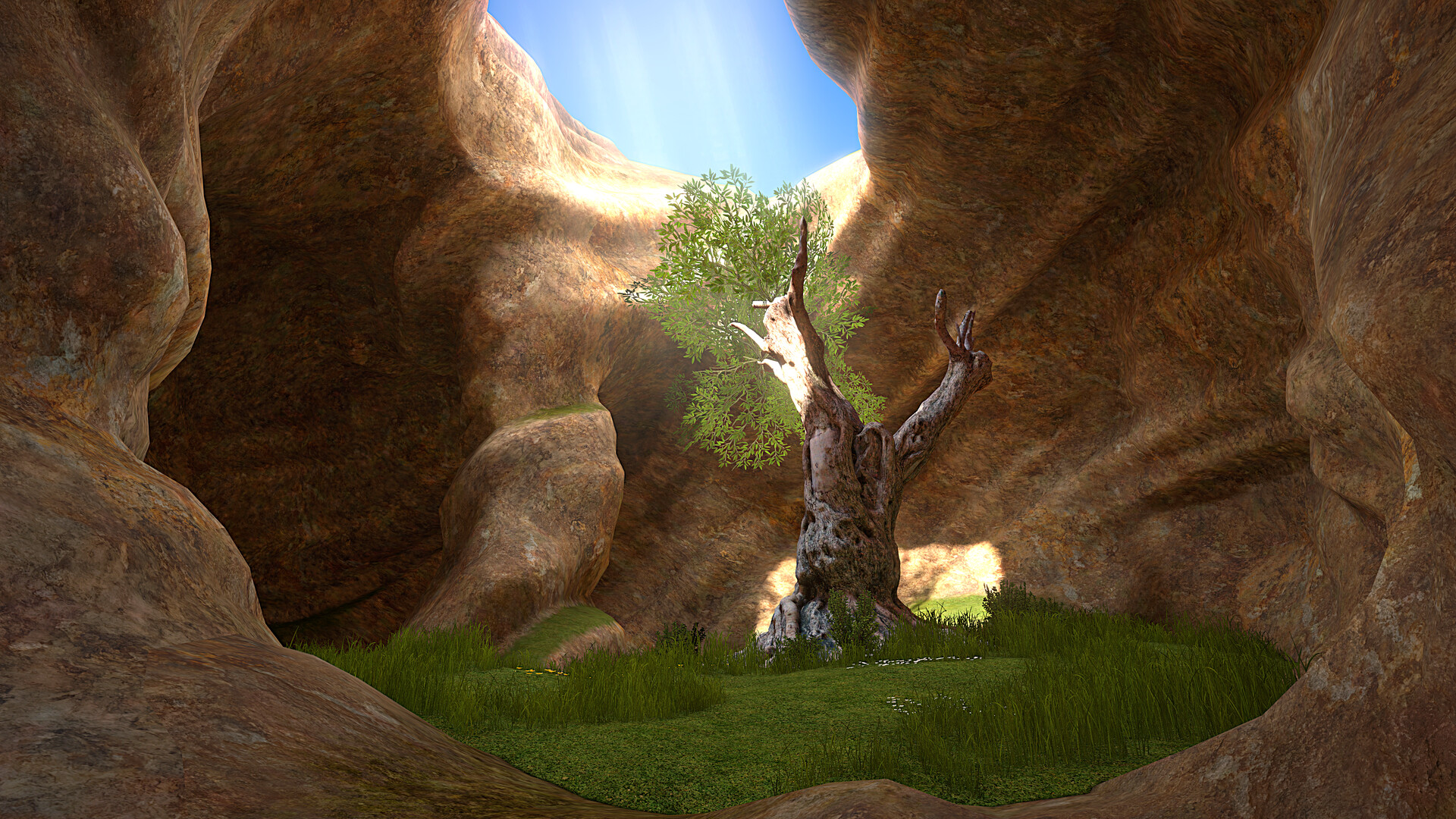 Lands of XON