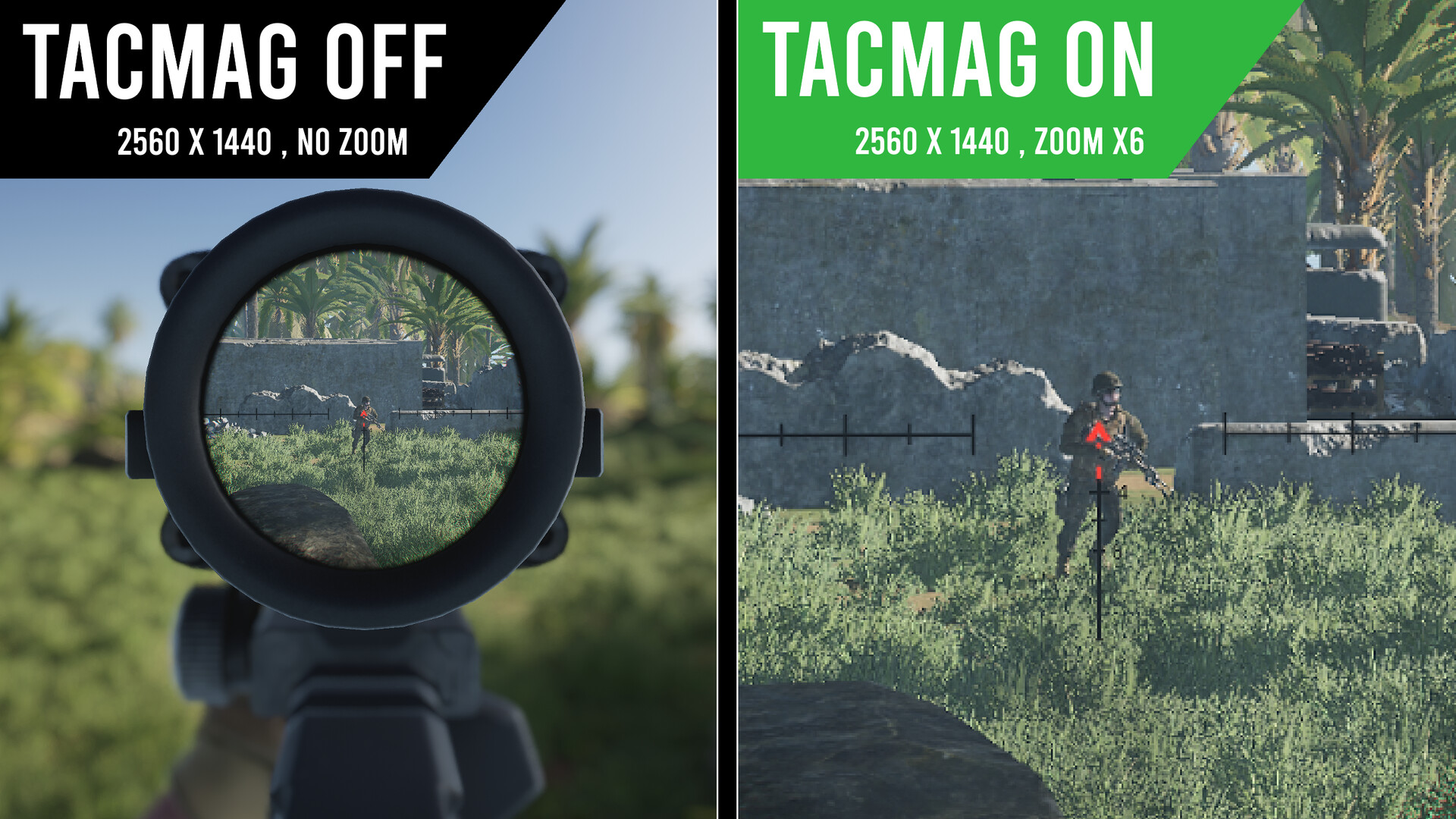 Tactical Magnifier