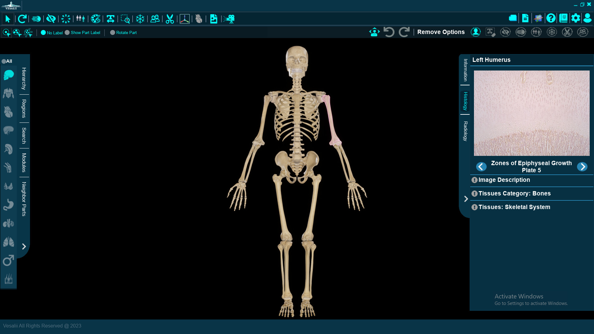 Vesalii Anatomy 3D institution Student