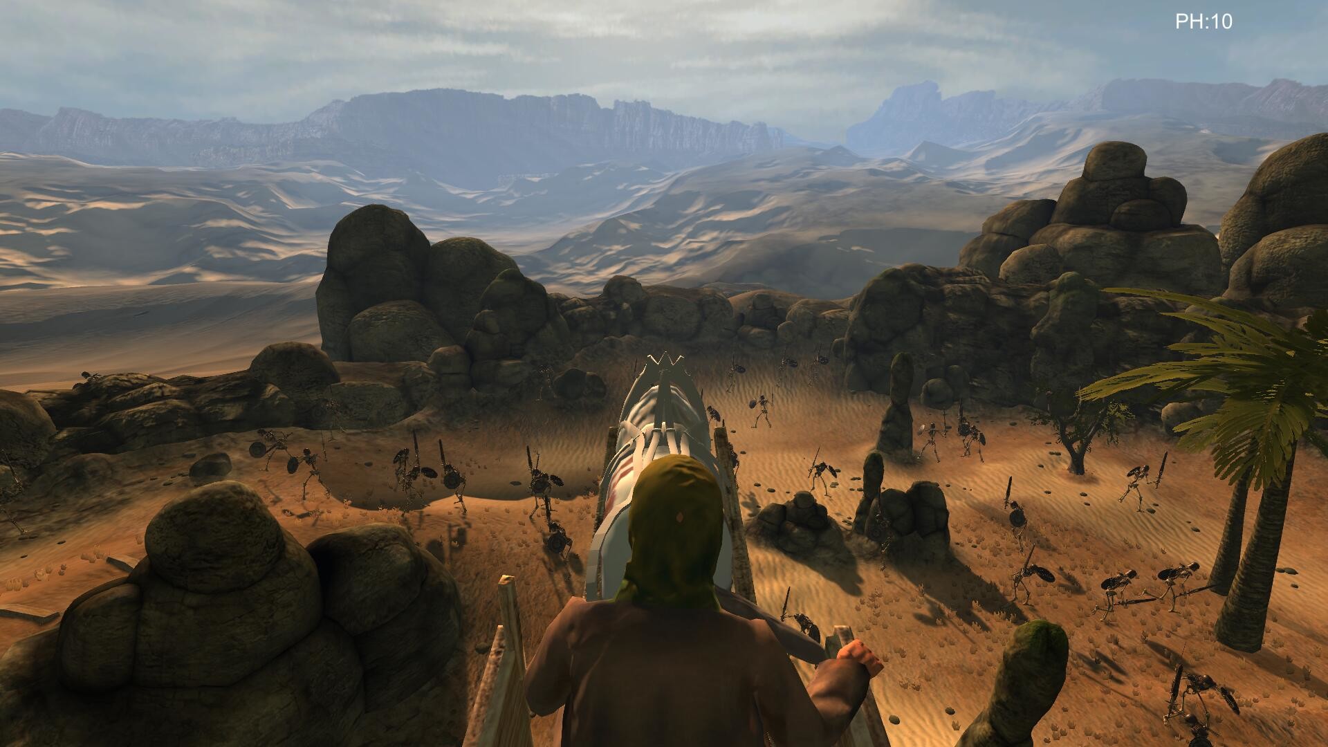 Desert coachman