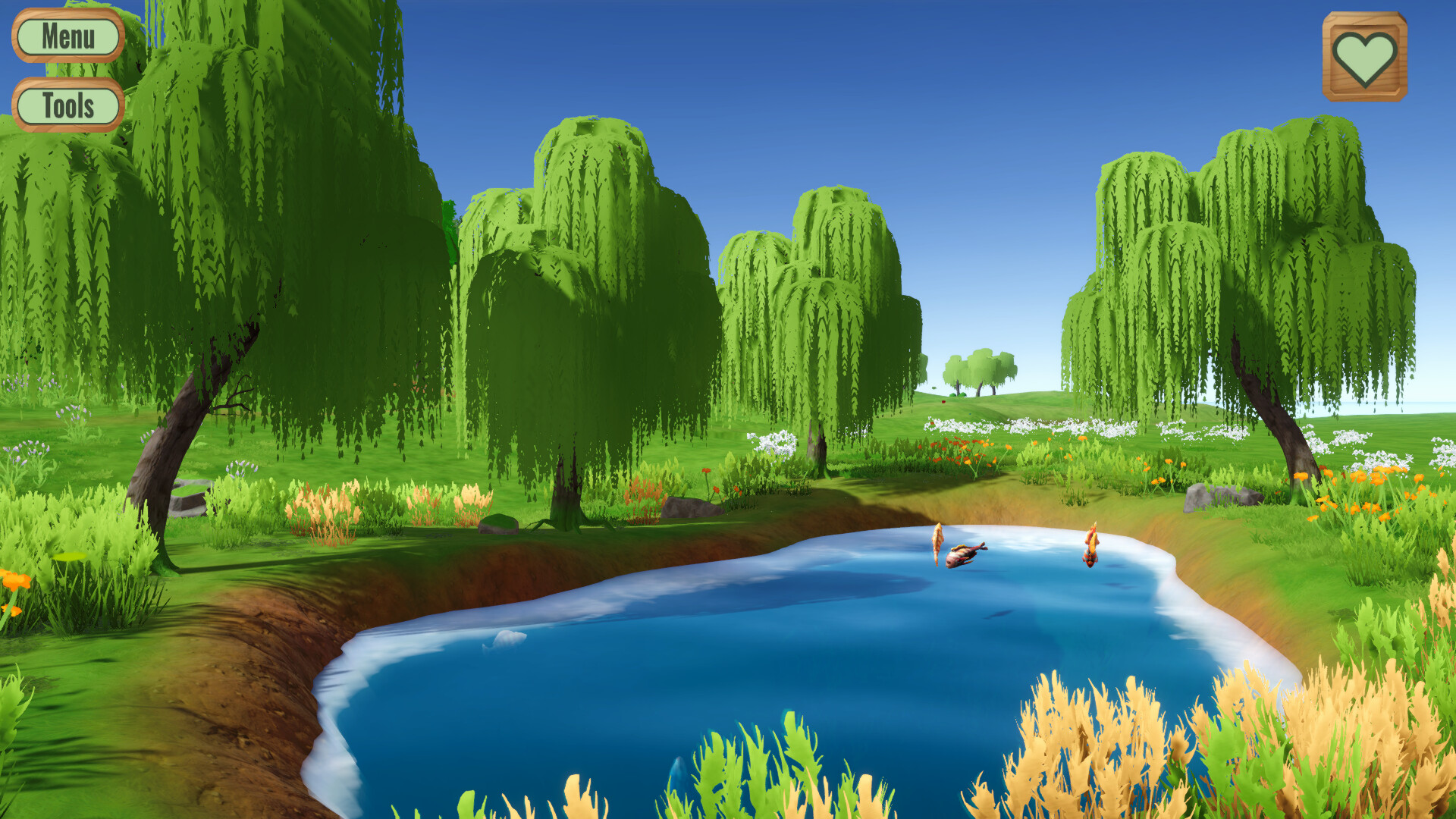 Pond