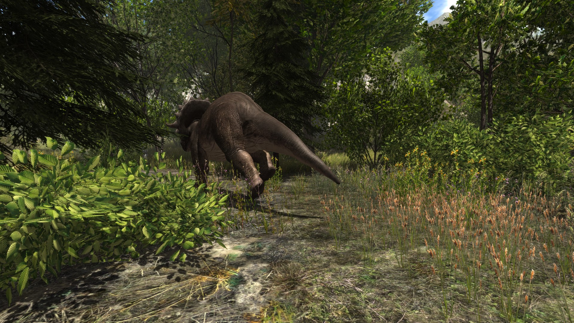 Dinosaur Forest