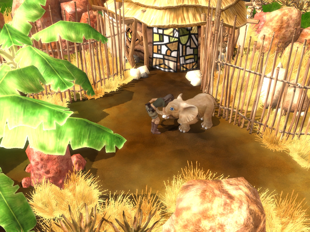 Wildlife Camp