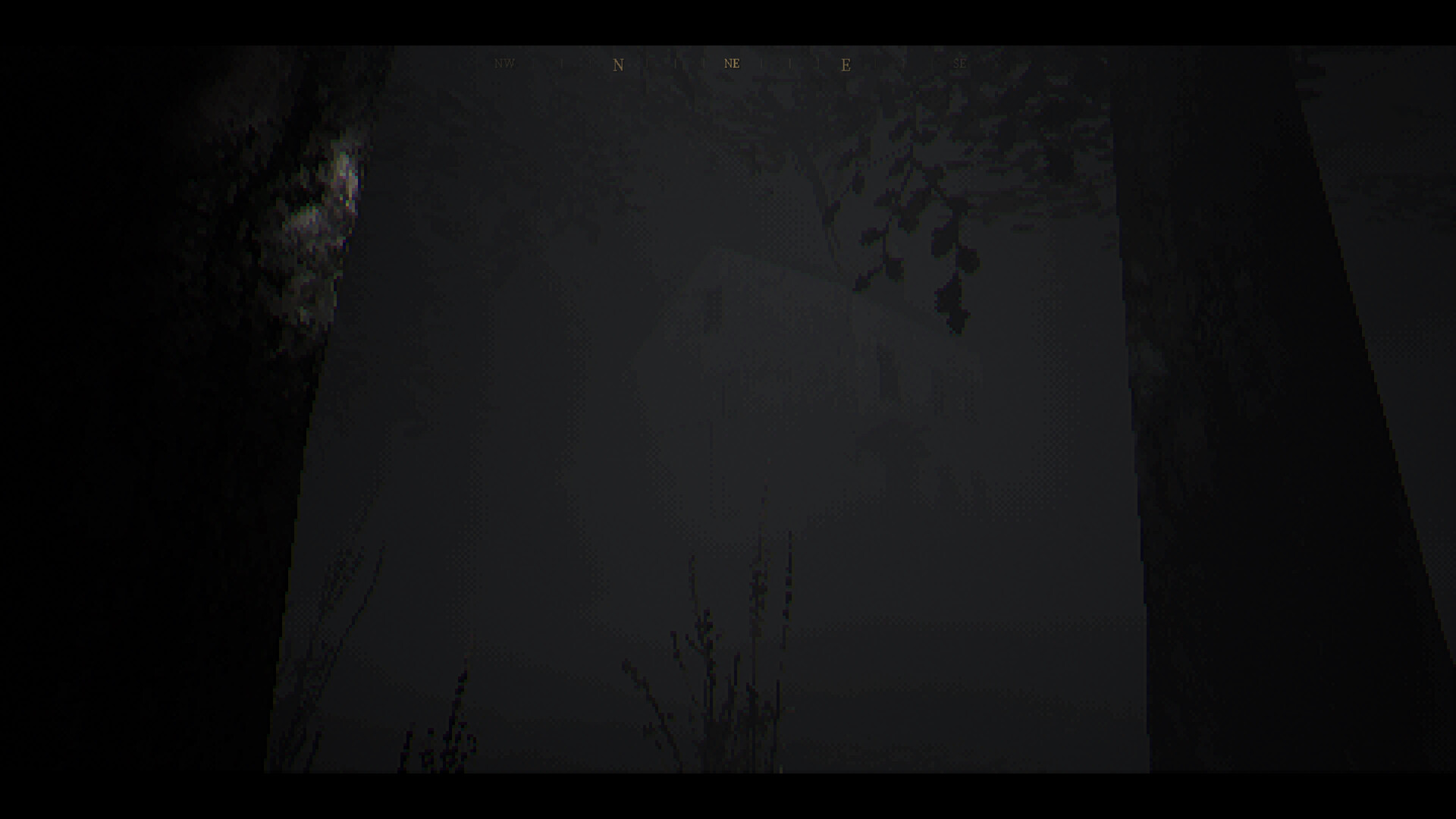 The House In The Woods