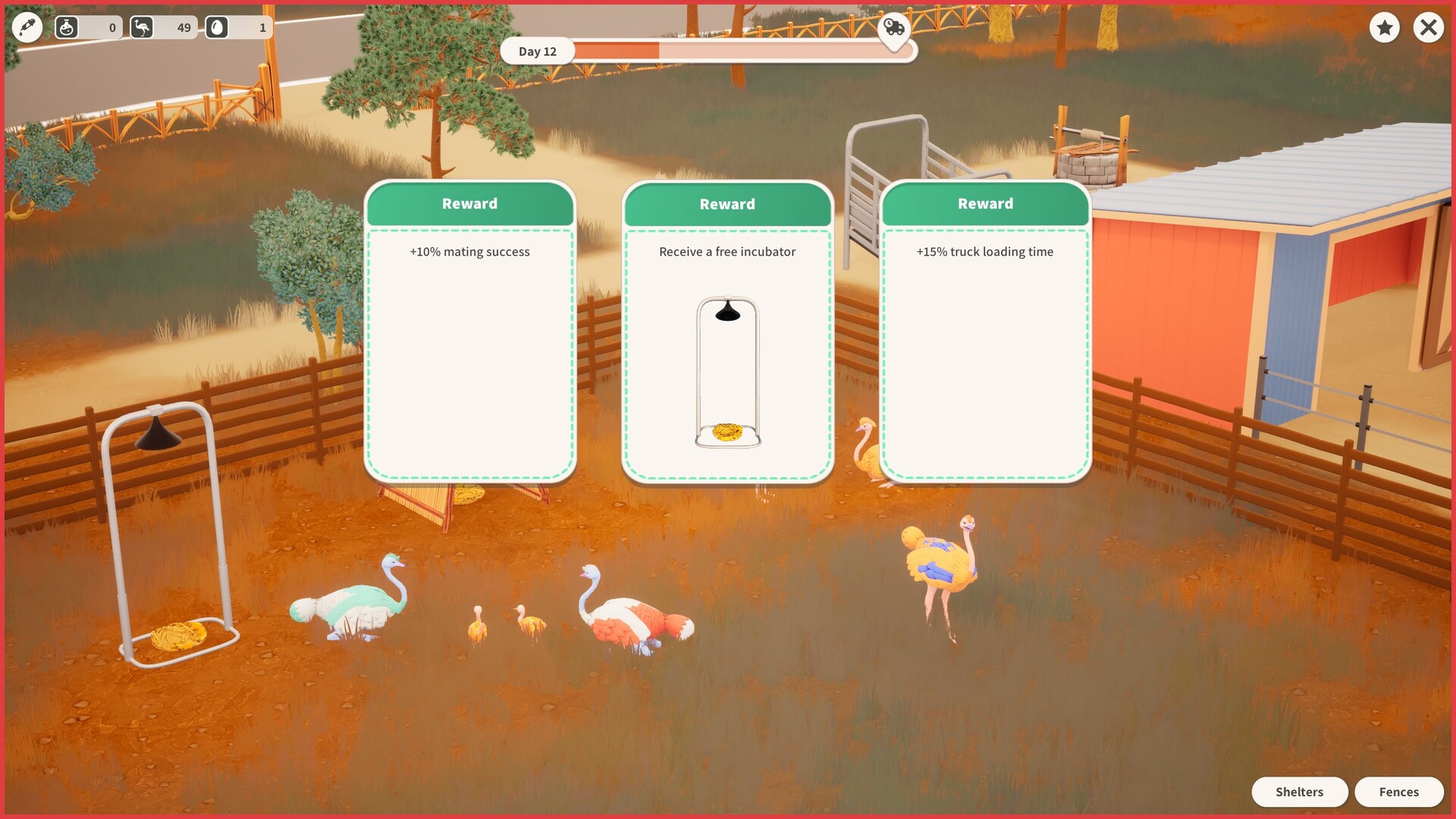 Ostrich Farm