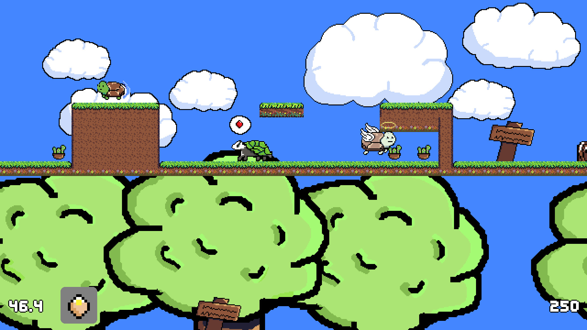 TurtleRun
