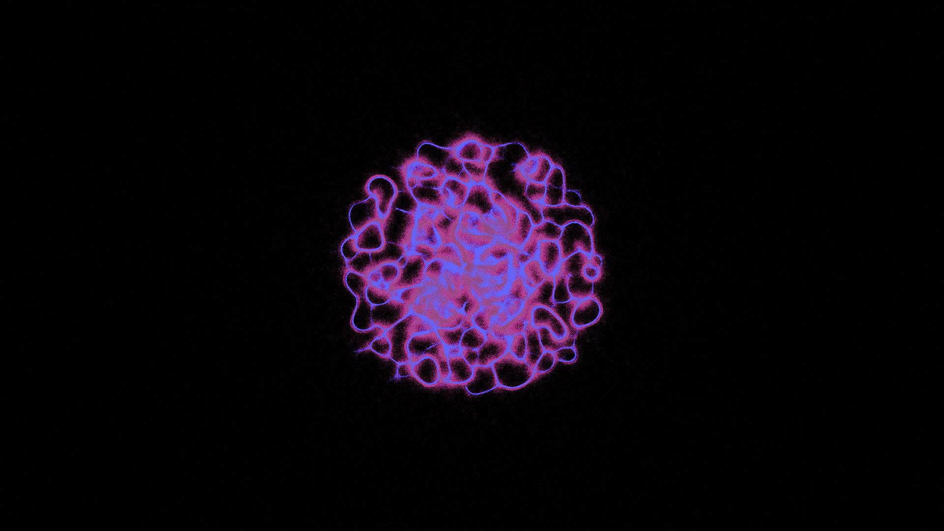 PHYSARUM: Slime Mold Simulator
