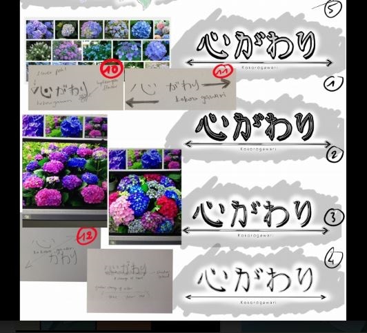 Kokorogawari - Best Value Pack