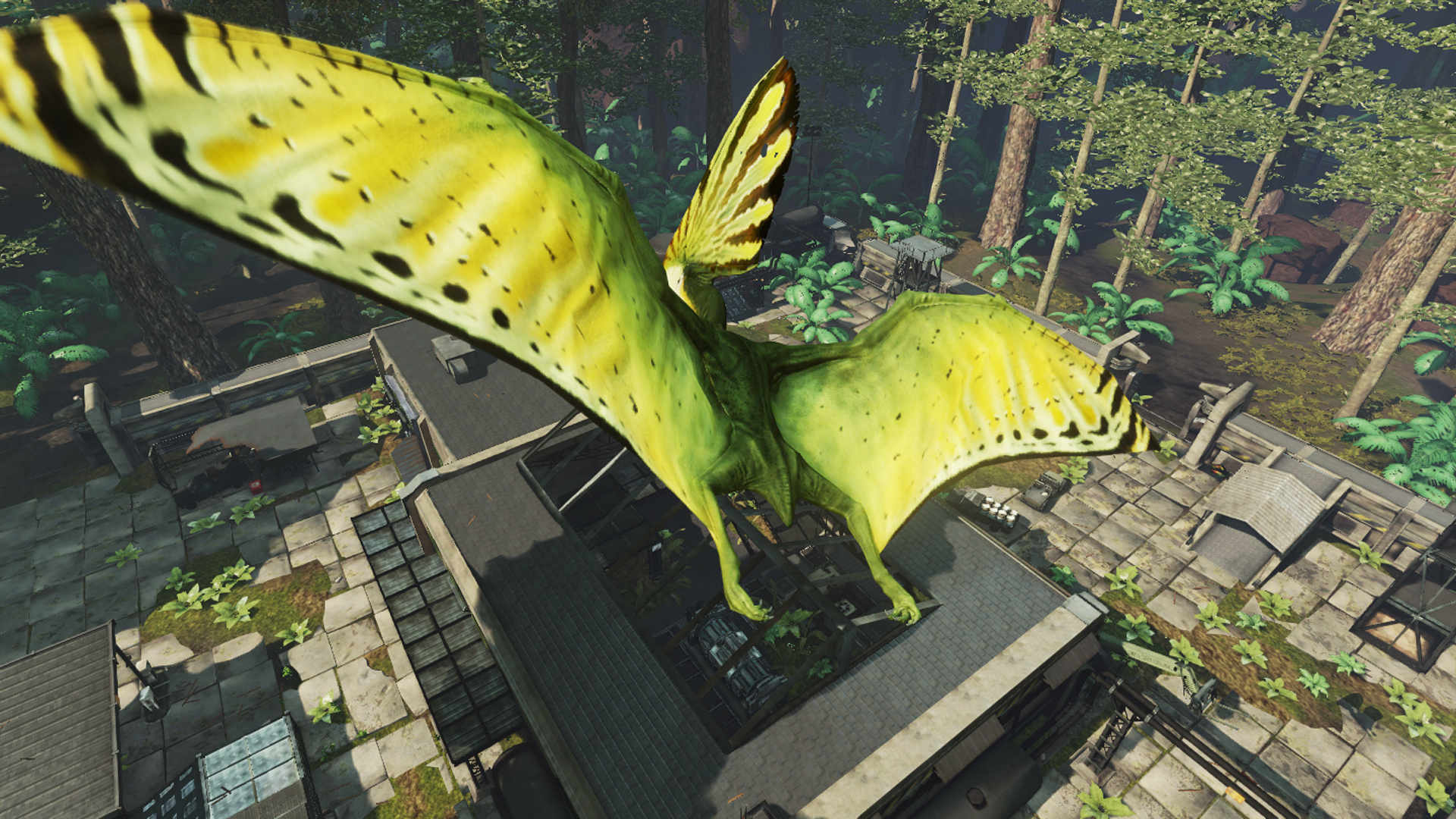 Primal Carnage - Tupandactylus - Premium