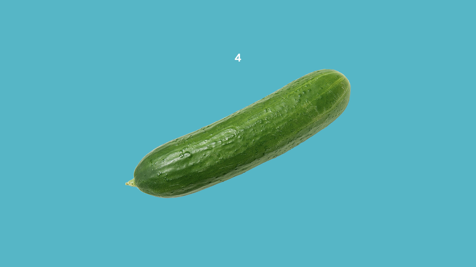 Cucumber