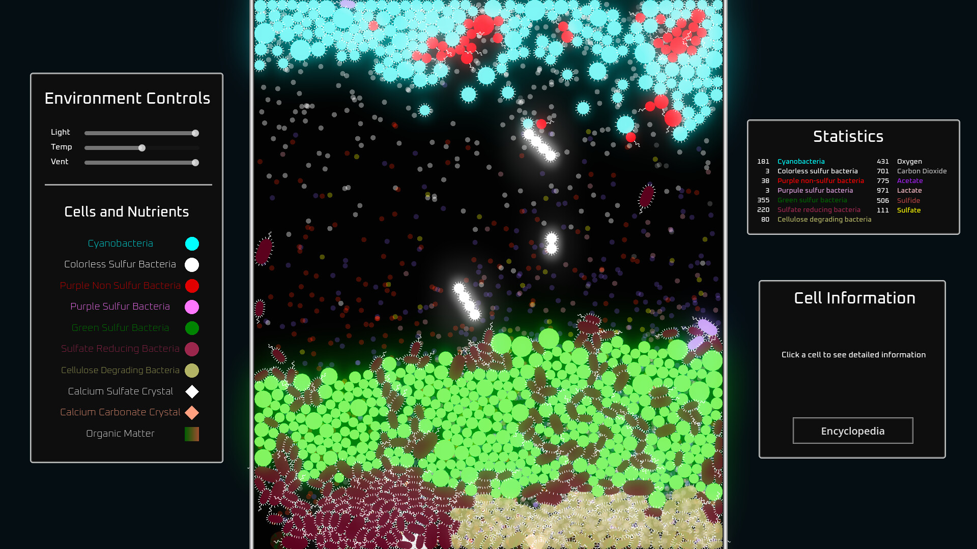 Cells
