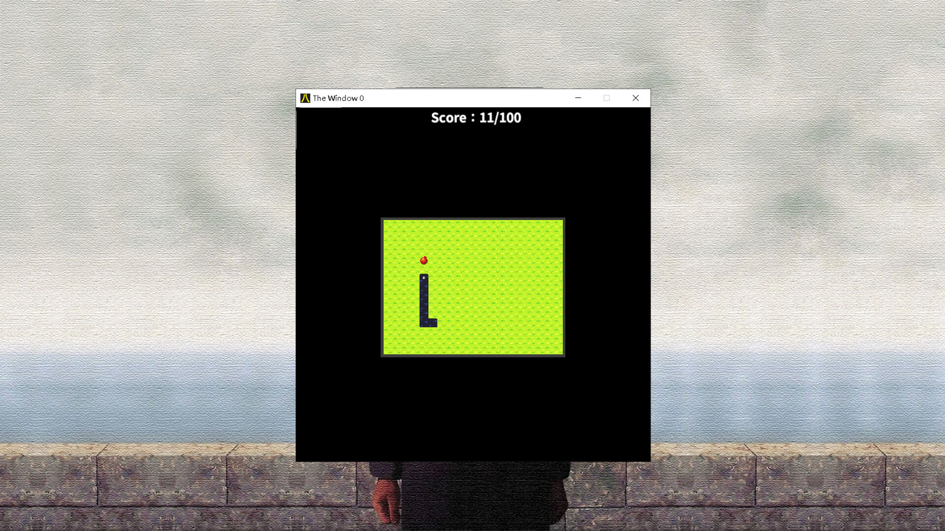 The Window 8
