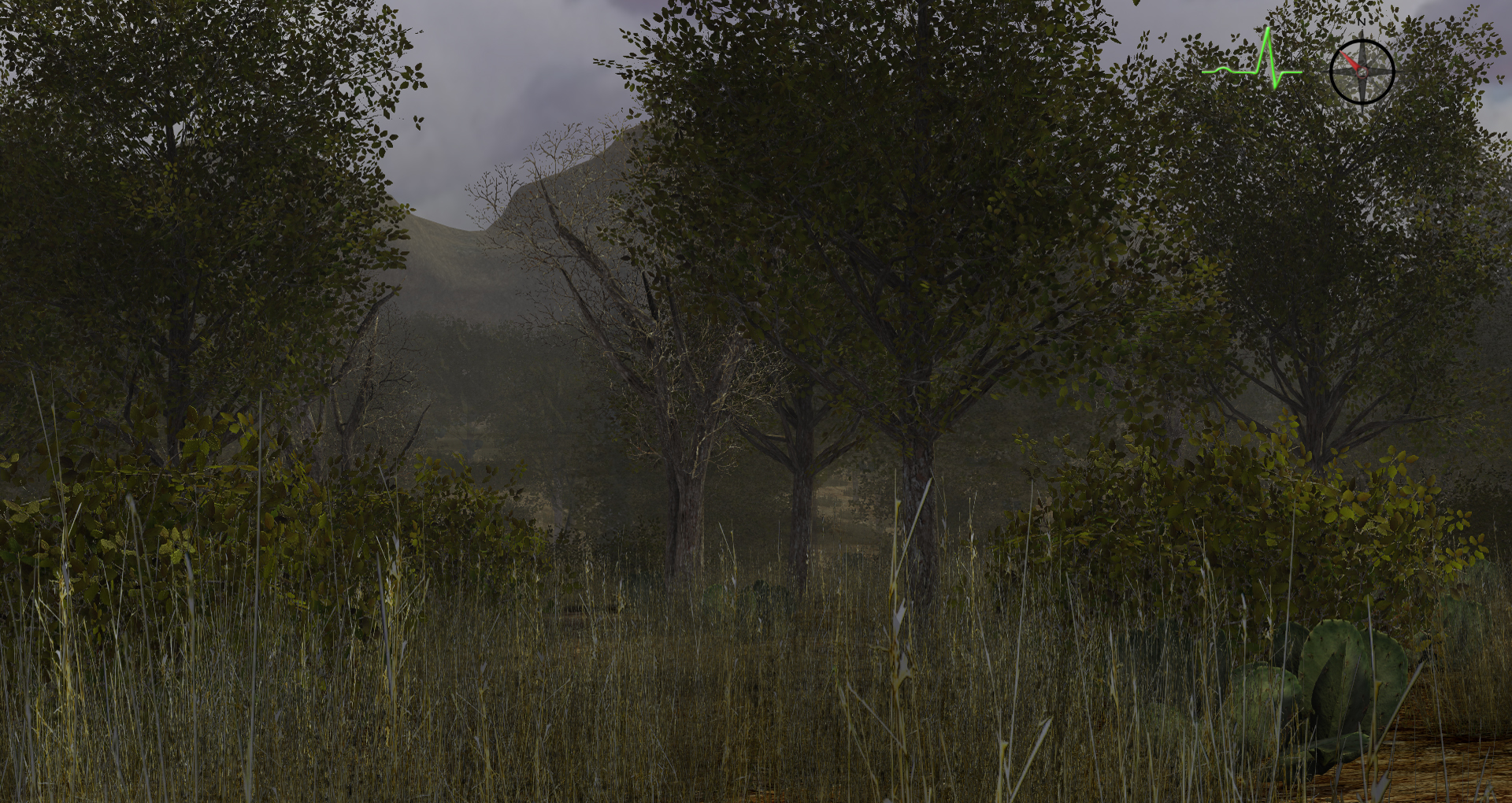 Whitetail Challenge