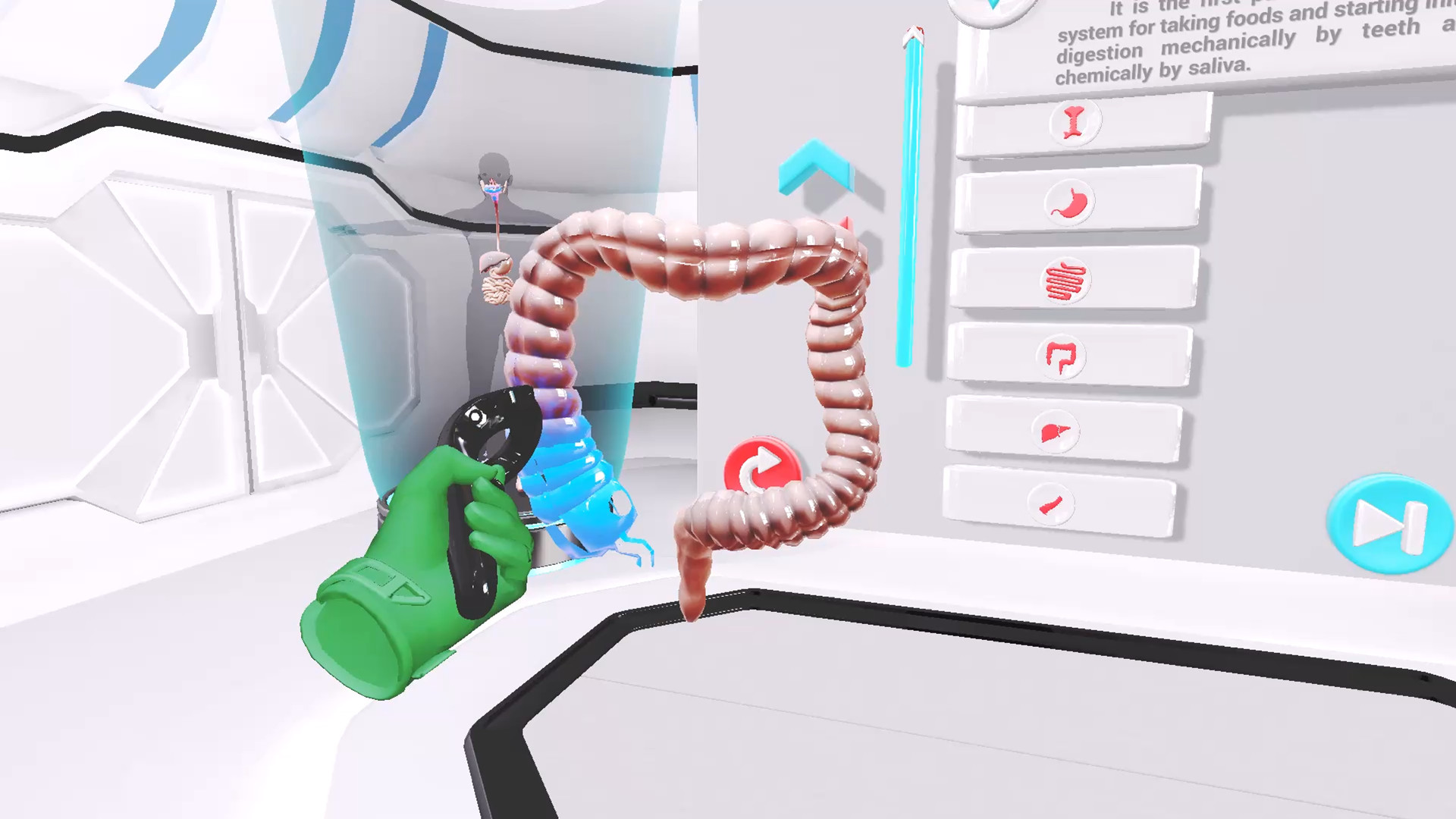 VRLab Academy Anatomy VR