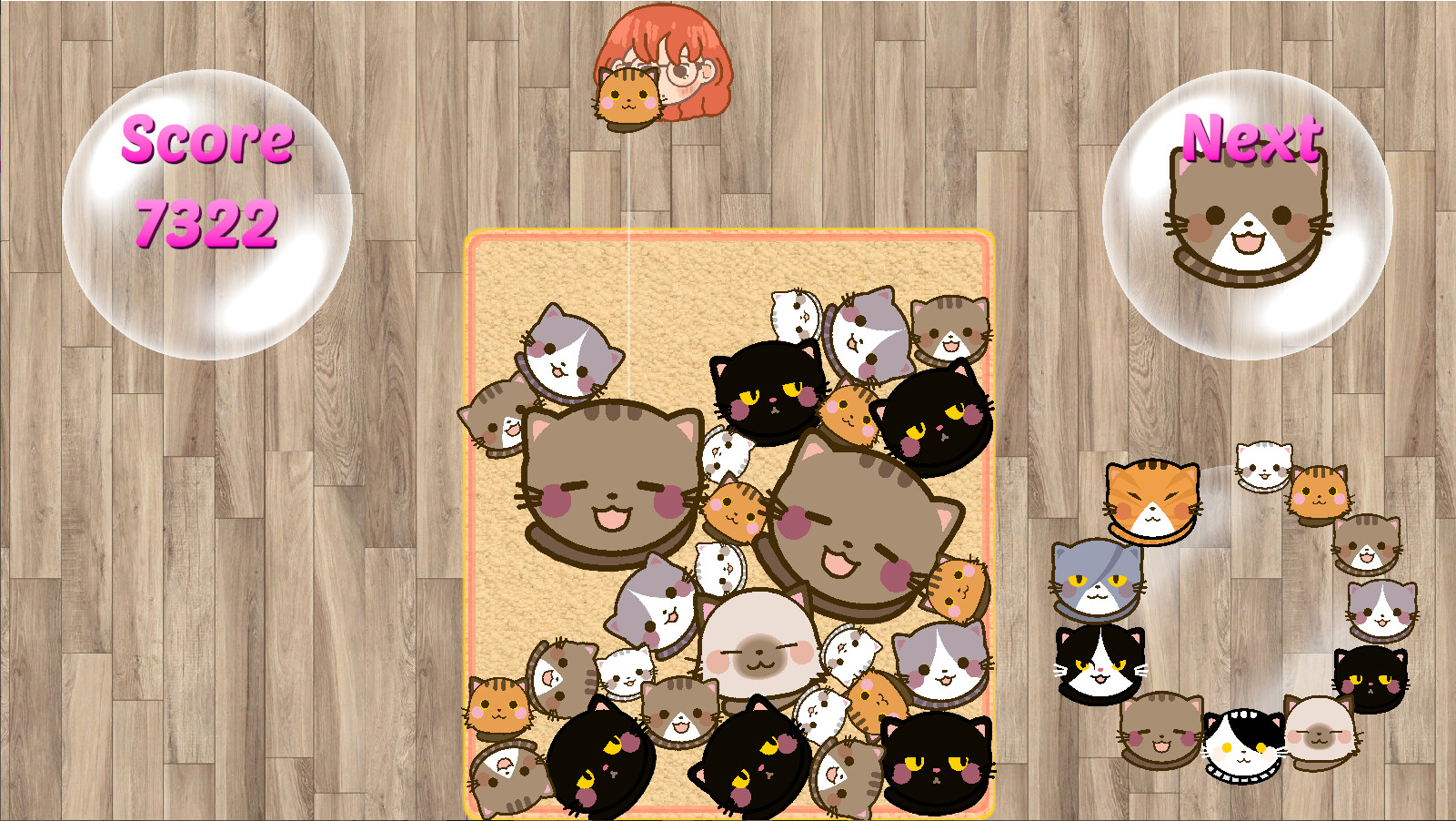 SuiCats