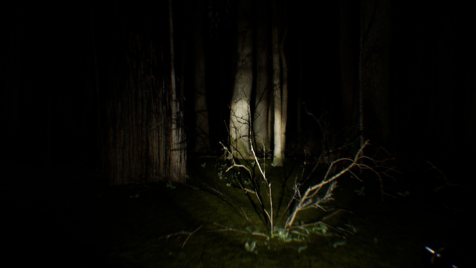 Search 4 Bigfoot