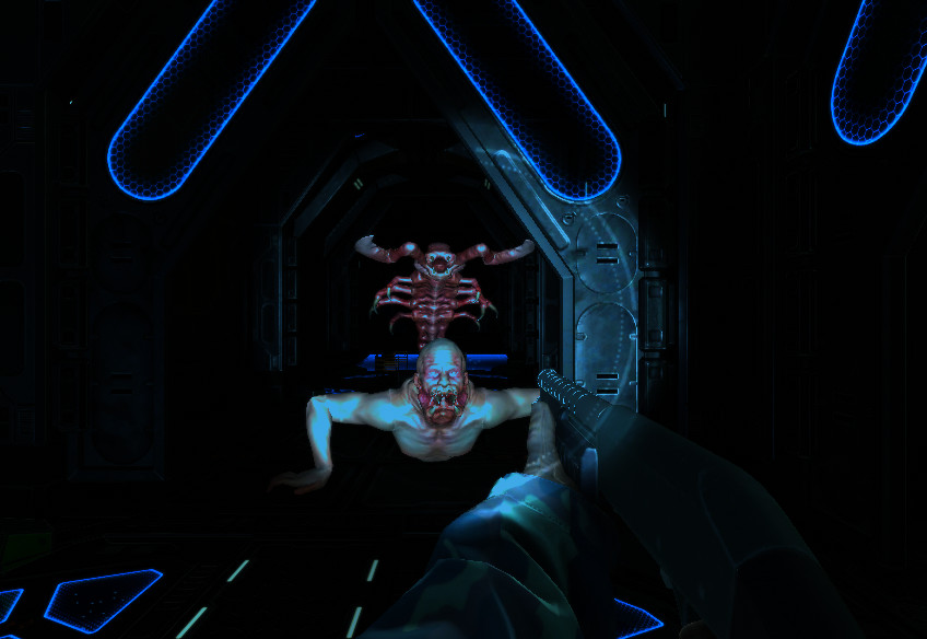 Terminal illness Rogue Horror Space Shooter