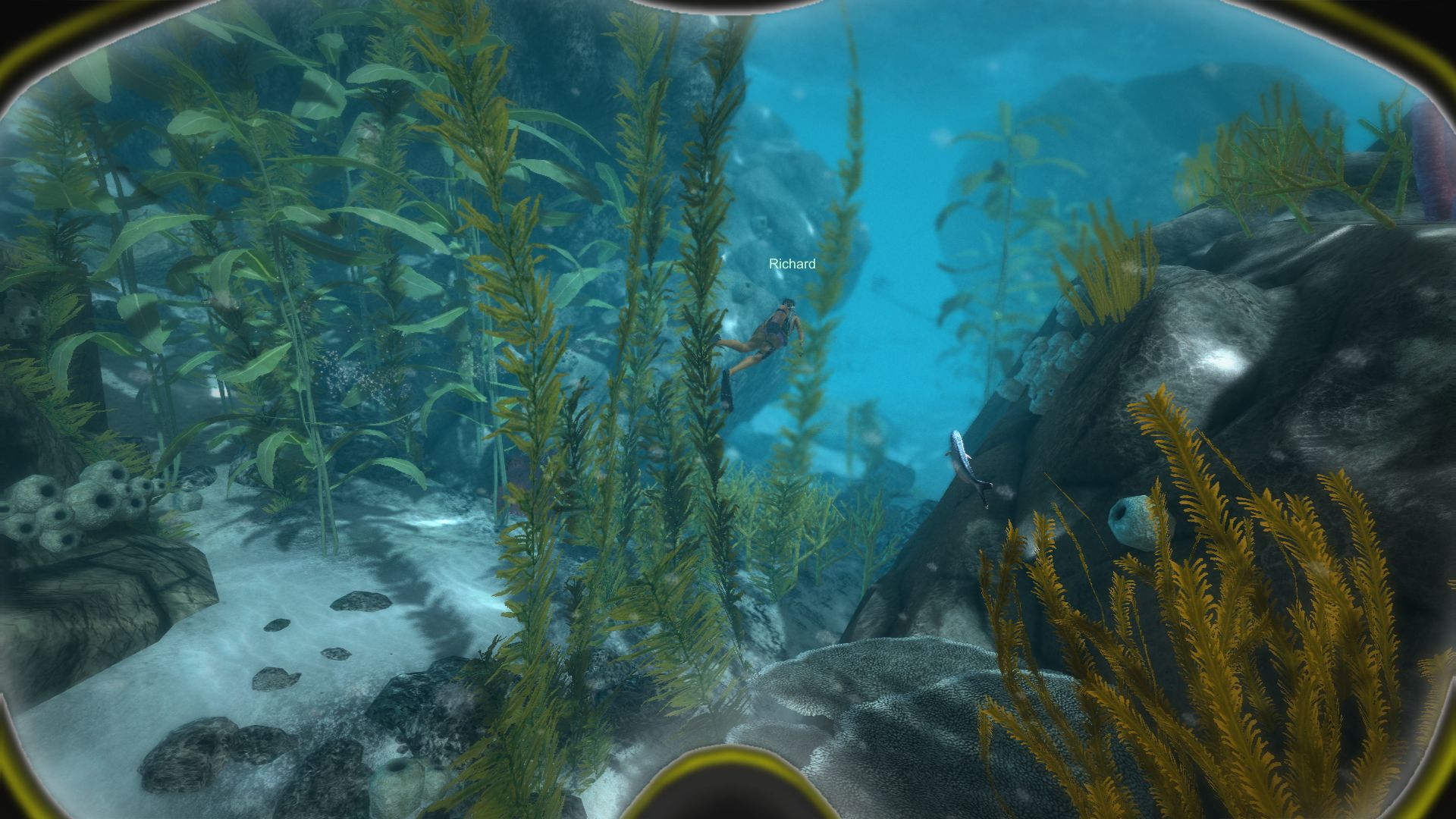 World of Diving