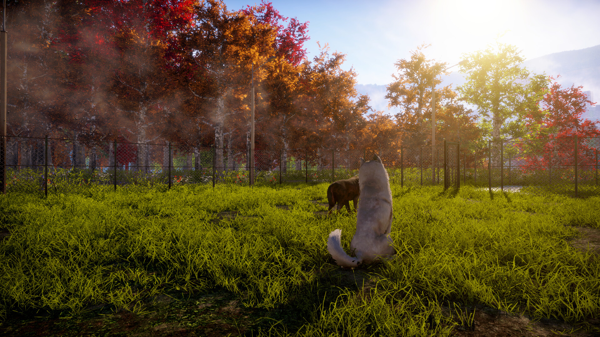 Animal Shelter 2: Prologue