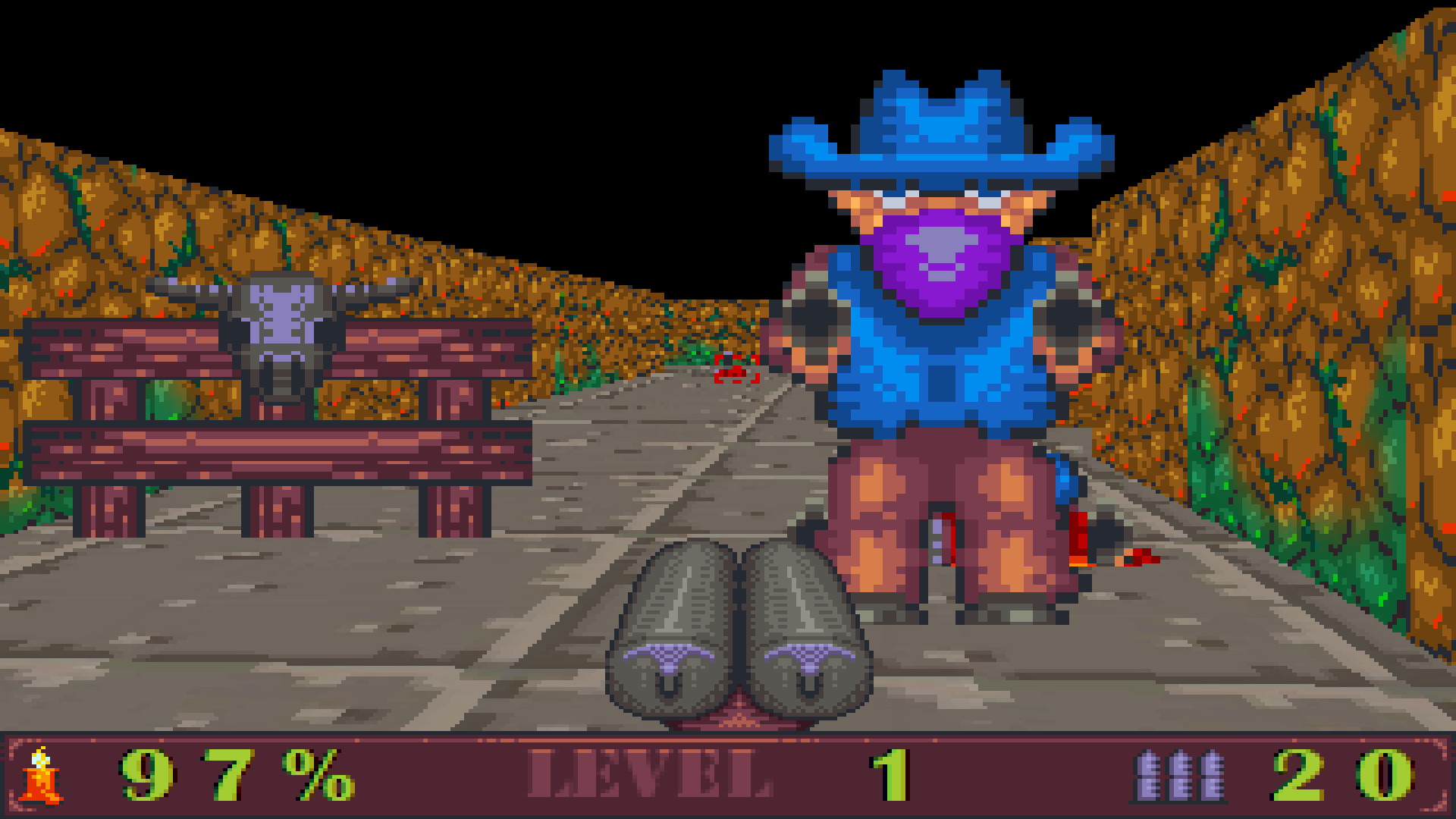 WILD WEST