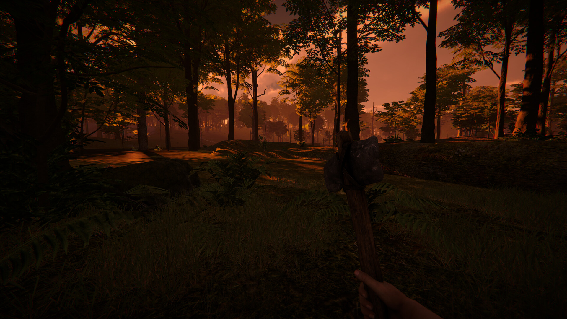 Reptile Park VR