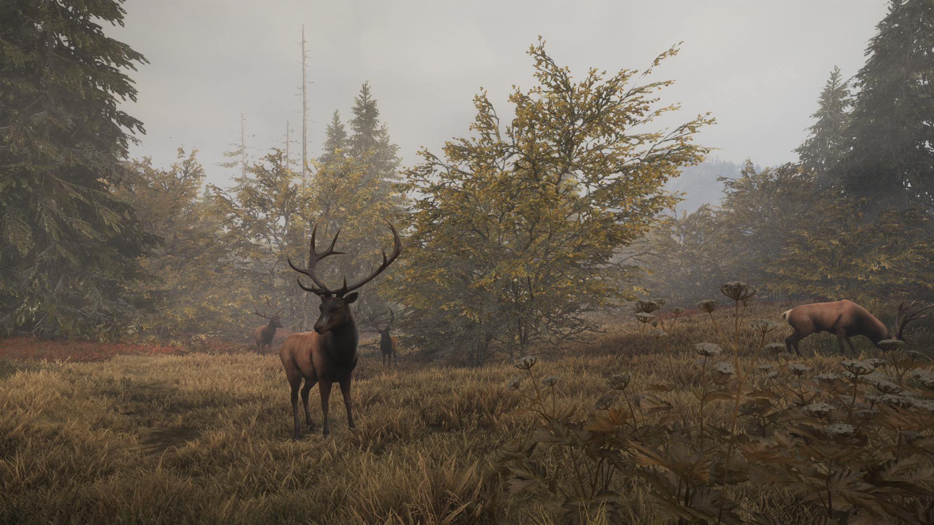 theHunter: Call of the Wild™ - Facing the Wild 1