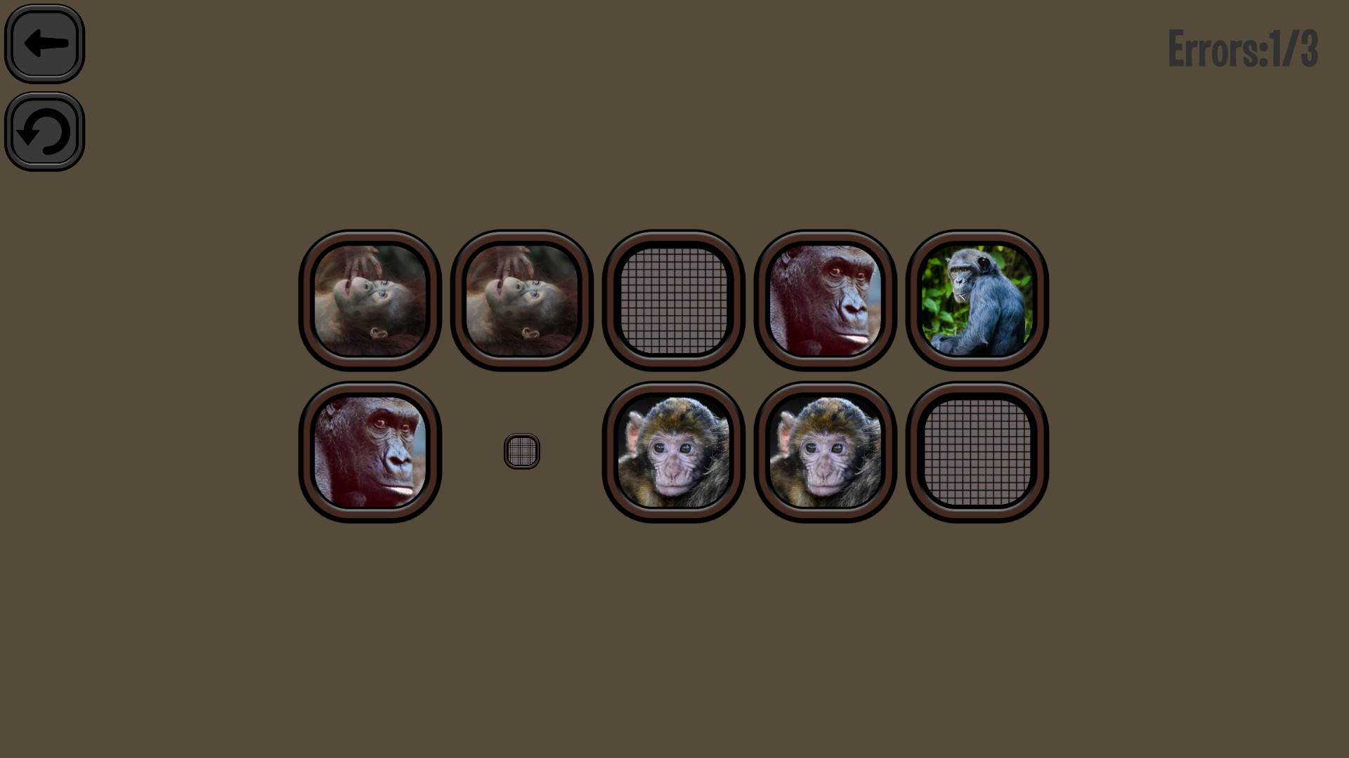 Animals Memory: Monkeys