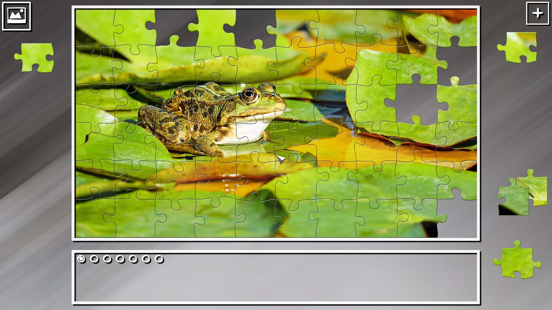Super Jigsaw Puzzle: Generations - Random Animals 2