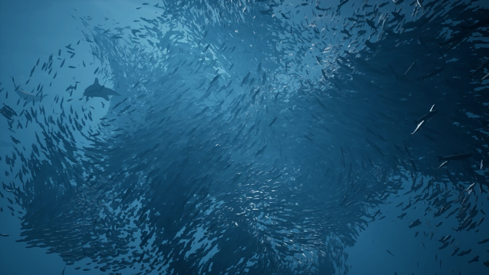 Whale Fall