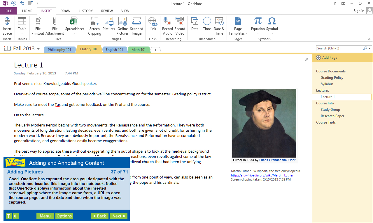 Professor Teaches® OneNote 2013 & 365