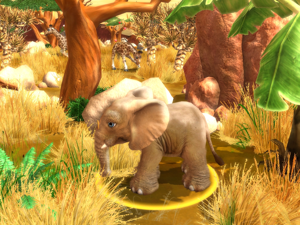 Wildlife Camp