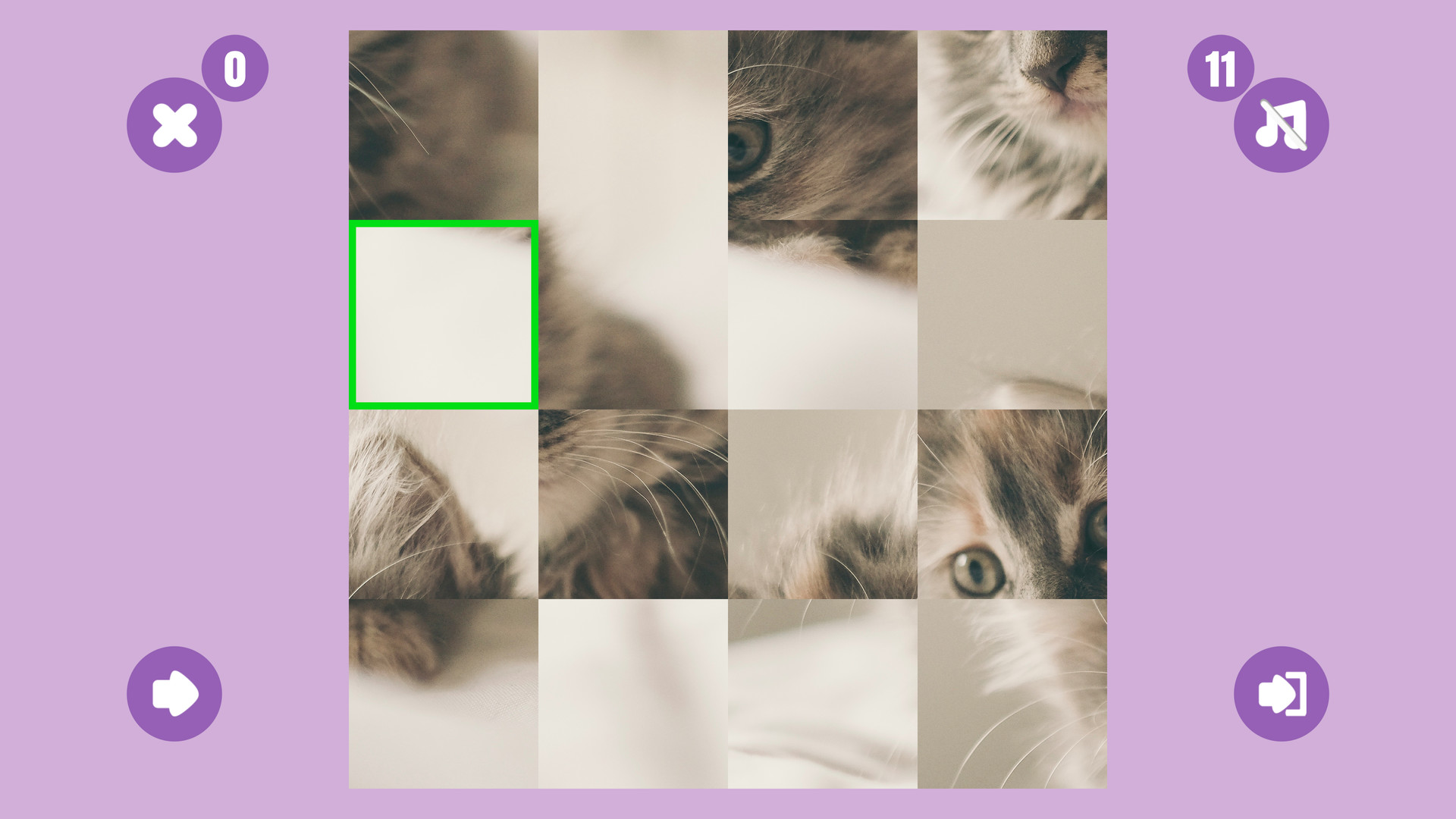 CAT GAME????