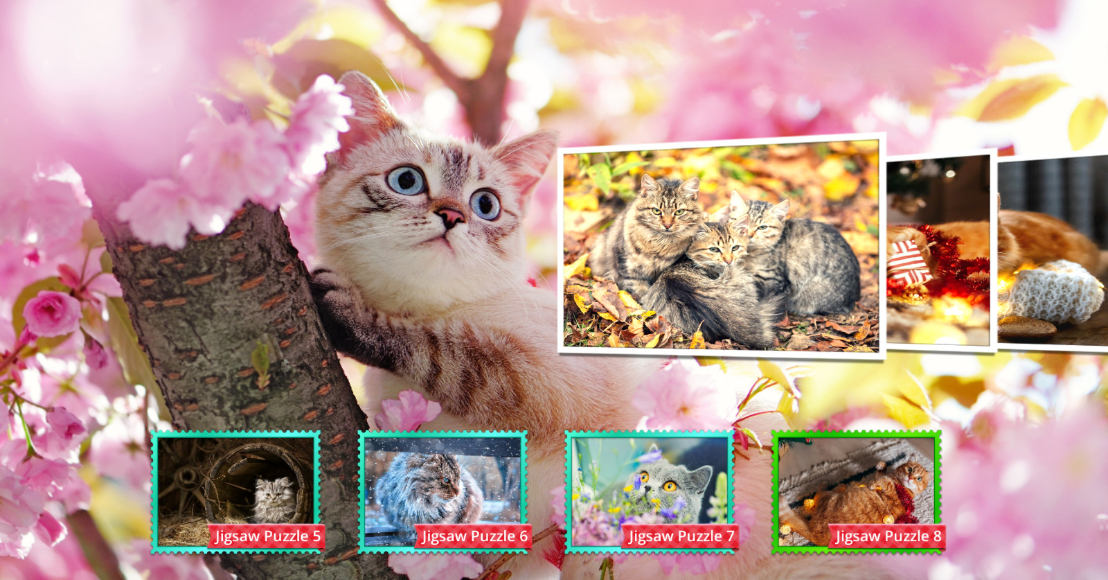 Cat's Life Jigsaw Puzzles