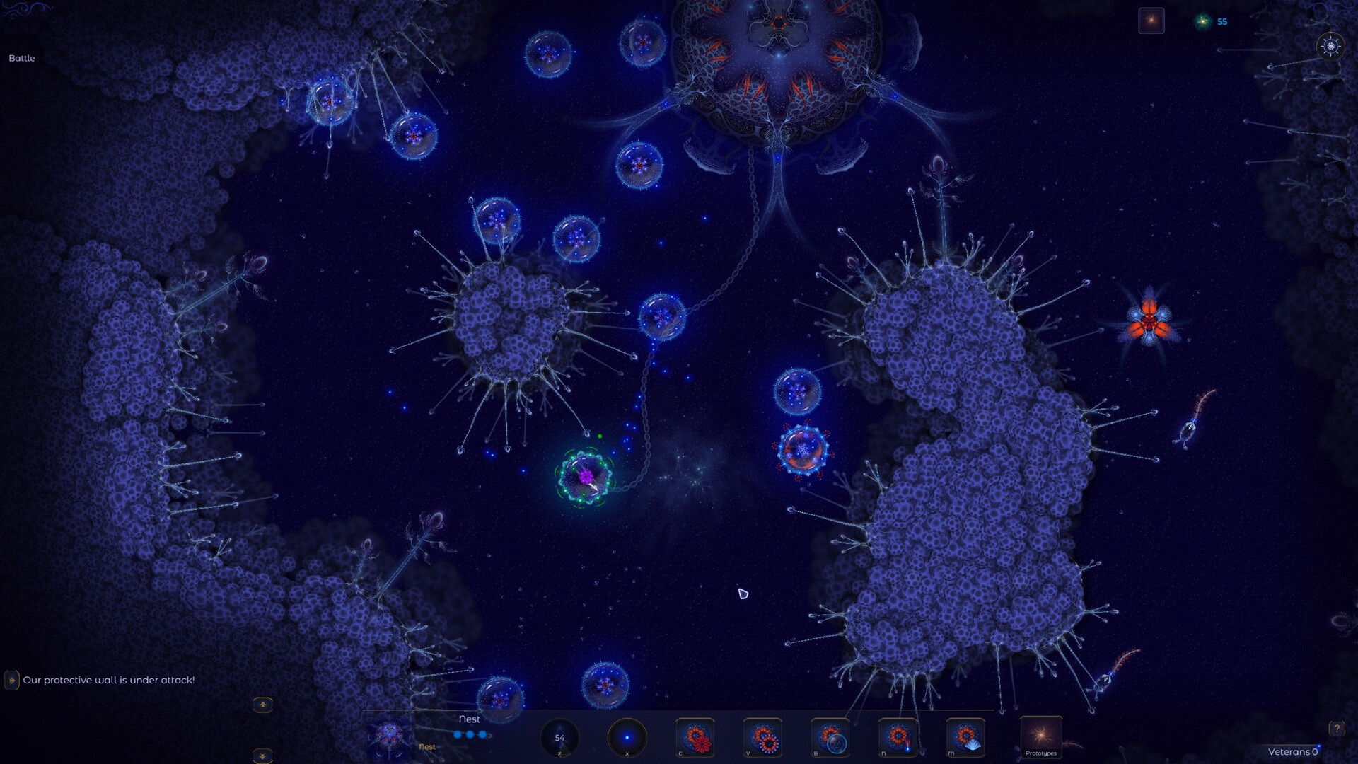 Microcosmum 2