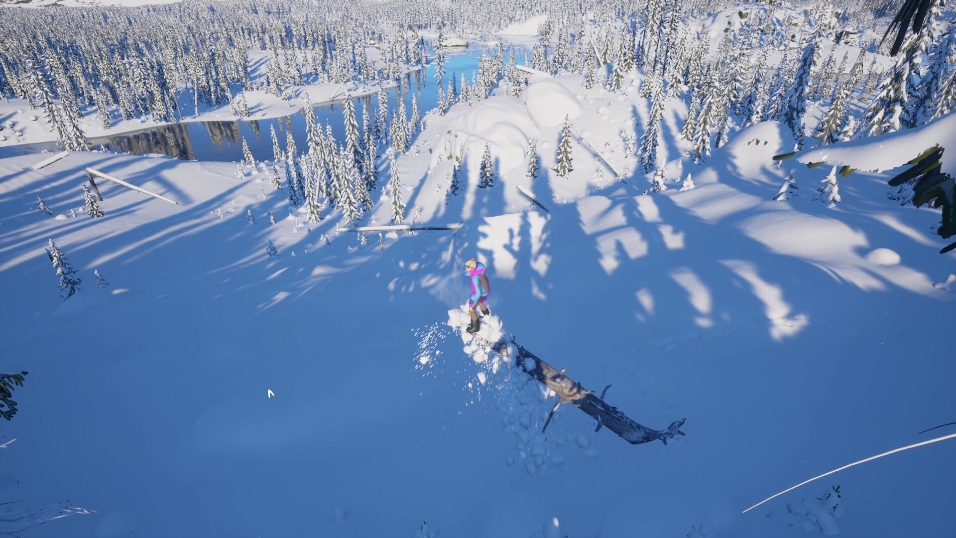 Snowtracked