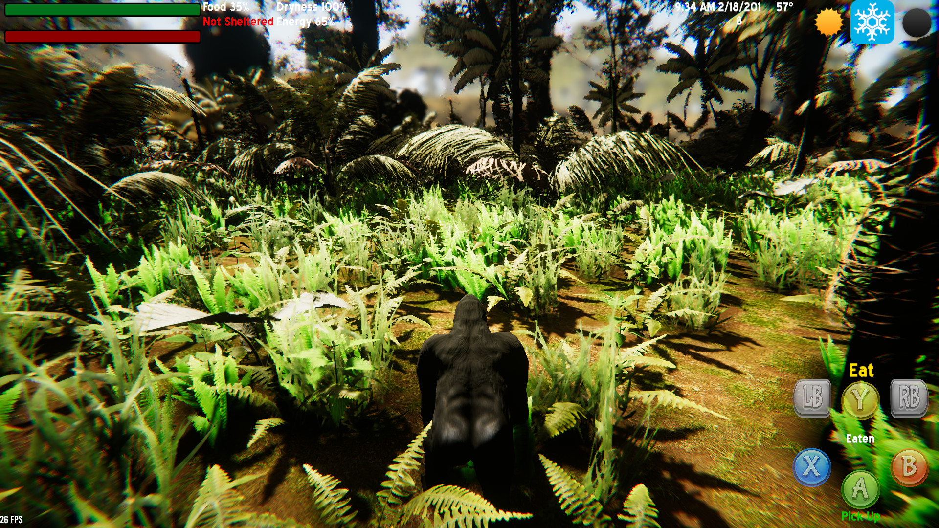 The Lonely Gorilla