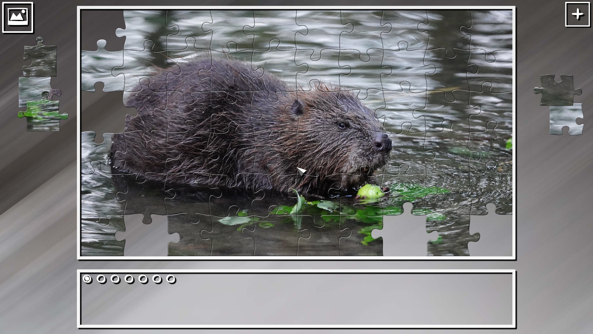 Super Jigsaw Puzzle: Generations - Rodents
