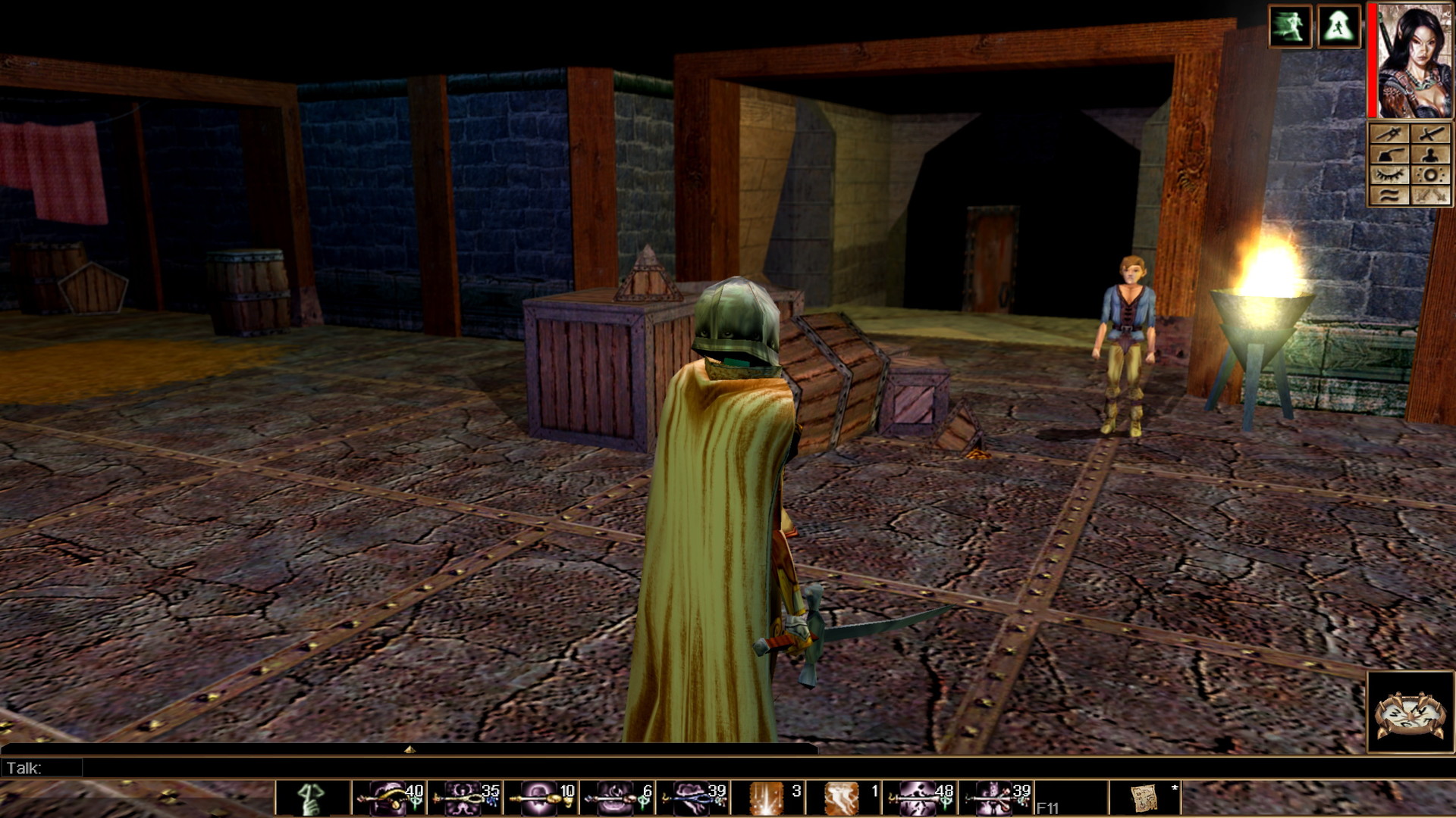Neverwinter Nights: Infinite Dungeons