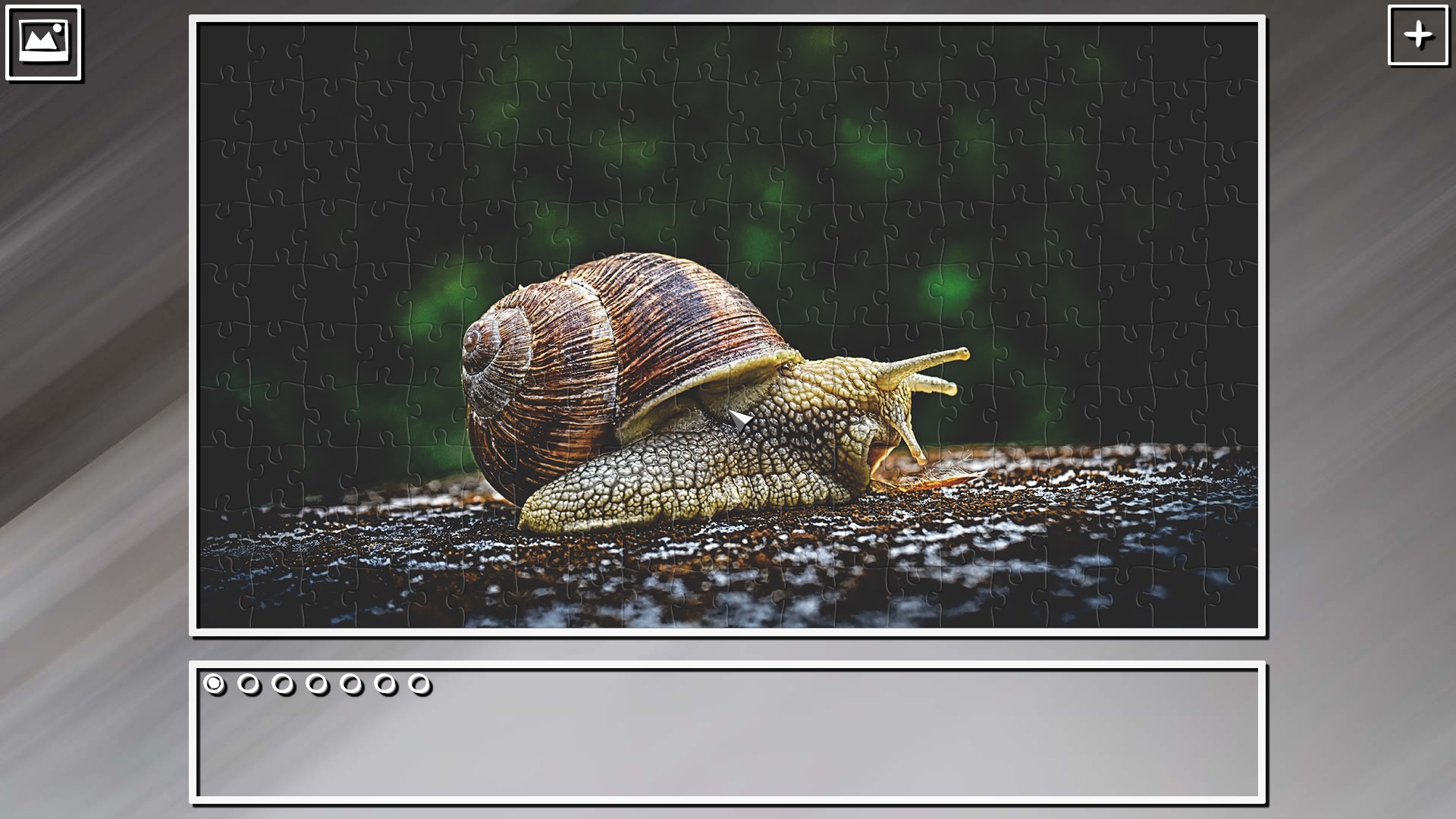 Super Jigsaw Puzzle: Generations - Random Animals Puzzles