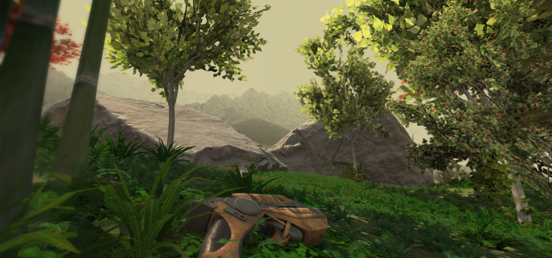 The Frontier Outskirts VR